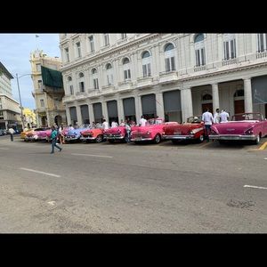 Meet your Posher, Cynthia